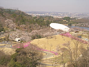 02.jpg