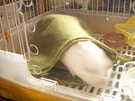 08.jpg