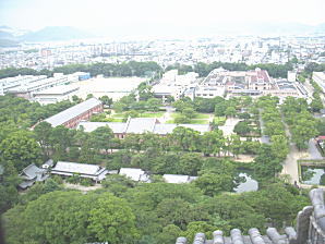 49.jpg