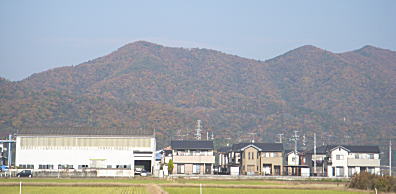 521.jpg