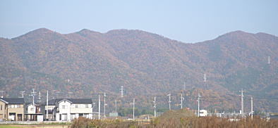 522.jpg