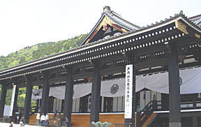 77.jpg