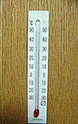 95.jpg
