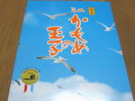 かもめ-1