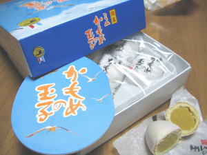 かもめ-3