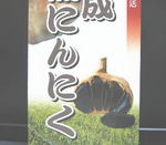 にんにく-3