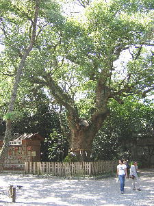 熱田-2