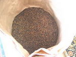 麦-2